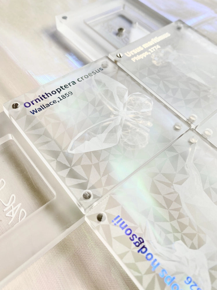 PARPER - Endangered Species Blusher Duo 5.5g