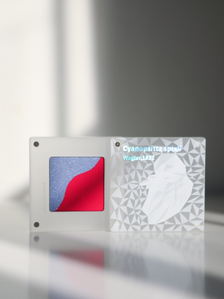 PARPER - Endangered Species Blusher Duo 5.5g