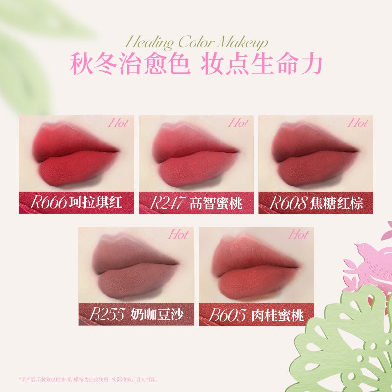 Colorkey  珂拉琪拥抱自然空气唇釉丝绒系列 3g