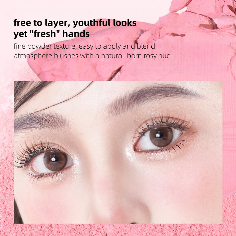 GOGOTALES - Lovely Cat Sweetish Blush 10g