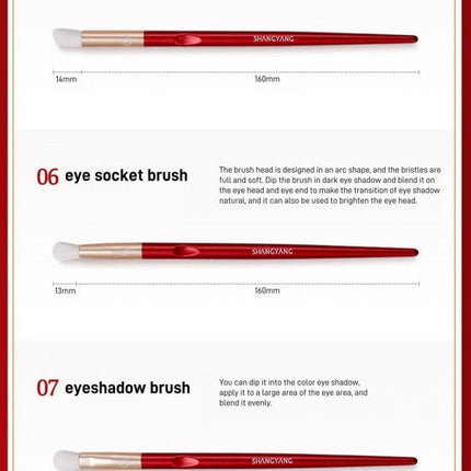 Shang Yang - Beauty Face 10 Brushes Set
